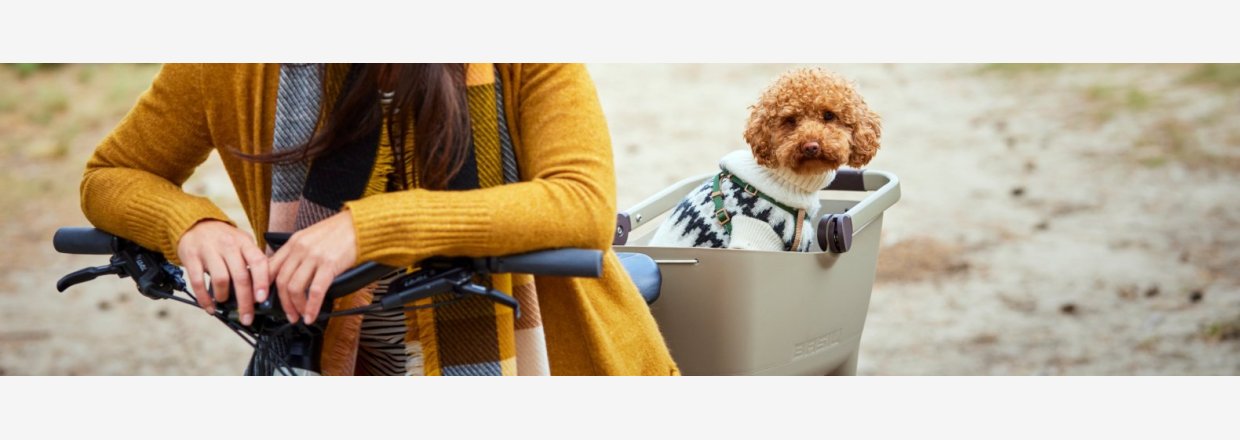 Slip eventyret ls: Basil Buddy  den ultimative cykelkurv til din hund
