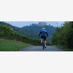 Baglygte Sigma EOX RL med bremselys - holdermontering