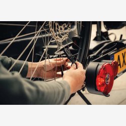 Lynlsls Axa 53 cm/10 mm sort