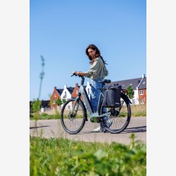 Single Pannier Bag New Looxs Cantos Bag Single - 16,5 liter - 29 x 16 x 36 cm - Sort