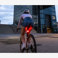 Lyss�t Sigma Aura 40 &amp; Nyte 10