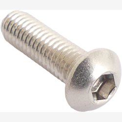 Bremse Disc Bolts M6 Stainless (10*)