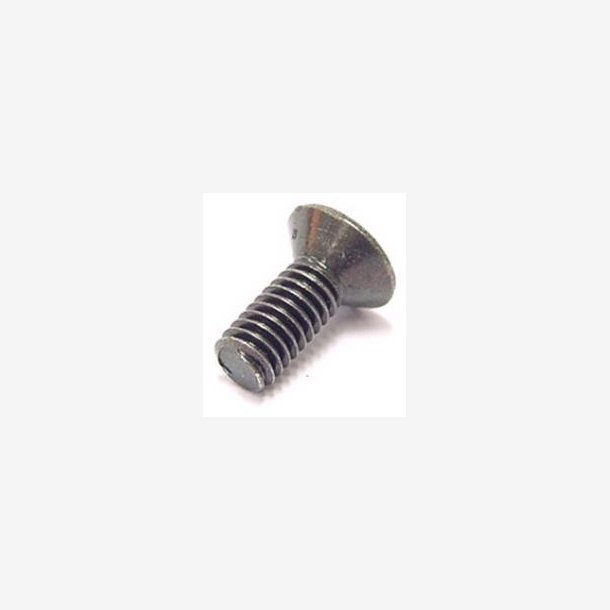 Screw for Bremse master cylinder cap Bofix M4 x 10 (25 pieces)