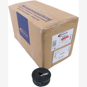 Slange Schwalbe SV13 26