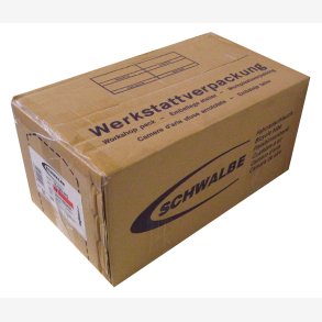 Slange Schwalbe SV17 28