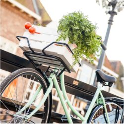 Frontlad STECO Samba, kronrr montering - matsort