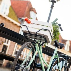 Frontlad STECO Samba, kronrr montering - matsort