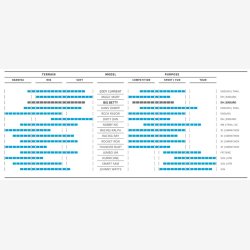 Dk Schwalbe Big Betty Bikepark 29 x 2,40 " / 62-622 mm - sort