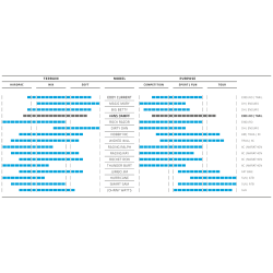 Foldbart dk Schwalbe Hans Dampf Super Trail 29 x 2,60" / 65-622 mm - klassisk sidevg