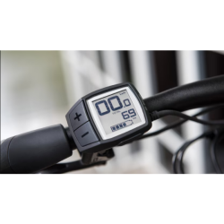 Display Bosch Purion