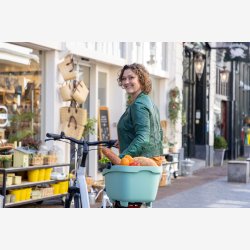 Cykelkurv af genanvendt plast New Looxs Clipper - 28 liter 49 x 37 x 29 cm - grn