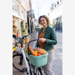 Cykelkurv af genanvendt plast New Looxs Clipper - 28 liter 49 x 37 x 29 cm - grn