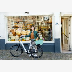 Cykelkurv af genanvendt plast New Looxs Clipper - 28 liter 49 x 37 x 29 cm - grn