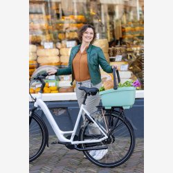 Cykelkurv af genanvendt plast New Looxs Clipper - 28 liter 49 x 37 x 29 cm - grn