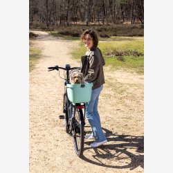 Cykelkurv af genanvendt plast New Looxs Clipper - 28 liter 49 x 37 x 29 cm - grn