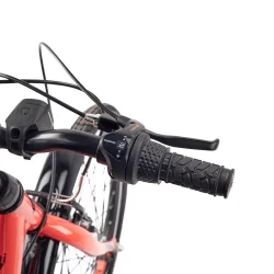 ChiX Wave 20" brnecykel med 3 gear og fodbremse - coralrd