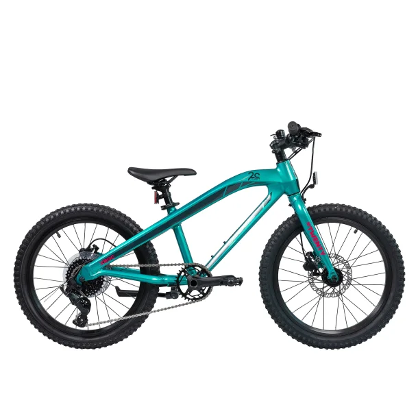 S'COOL Xroc TWENTY 20" MicroShift MTB cykel med 8 gear - mrk mintgrn