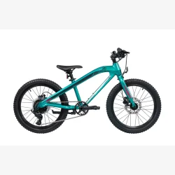 S'COOL Xroc TWENTY 20" MicroShift MTB cykel med 8 gear - mrk mintgrn