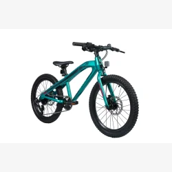 S'COOL Xroc TWENTY 20" MicroShift MTB cykel med 8 gear - mrk mintgrn