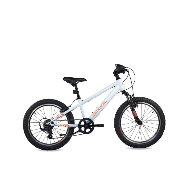 S'COOL Xroc 20" junior MTB cykel med 6 gear - lysegr