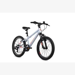 S'COOL Xroc 20" junior MTB cykel med 6 gear - lysegr