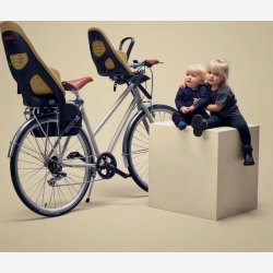 Thule Yepp 2 Maxi barnestol - fennikel tan