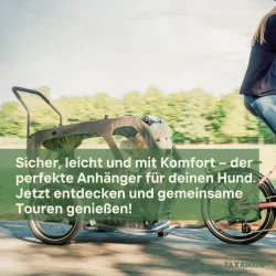 TAXXI DOG M � Luksus hundetrailer til cykel - gr�/gr�n