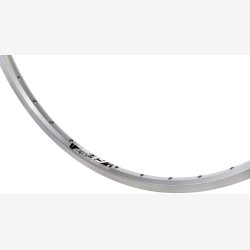 Flg Ryde ZAC 19 28" / 622 x 19C aluminum 36 huller 14G - slv