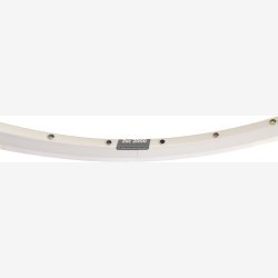 Flg Ryde ZAC 2000 28" / 622 x 19C aluminum 32 huller 14G - slv