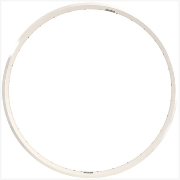 Flg Ryde ZAC 2000 28" / 622 x 19C aluminum 32 huller 14G - slv