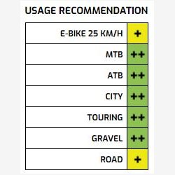 Flg Ryde Rival 21 skive 28/29" / 622 x 21C aluminium 36 huller 14G - sort