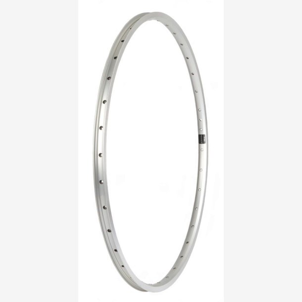 Rim Primax E STR19 28" - 622 x 19C - 36 holes - spoke 14 / French valve - silver with Bremse rim