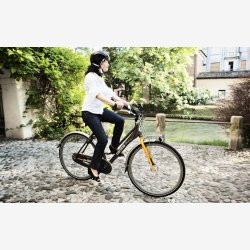 Saddle Selle Royal Torx - Urban Life