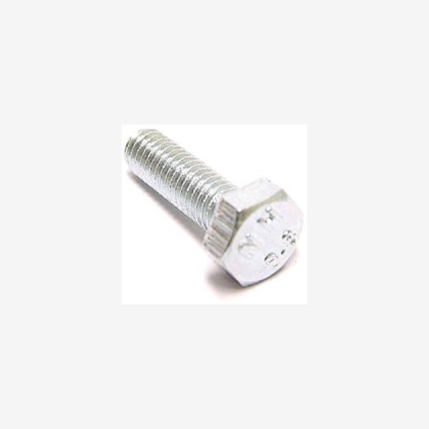 Hex Bolt M6*12 (50*)