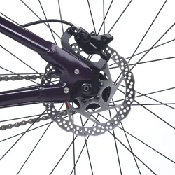 20" letvgts brnecykel i aluminium ACADEMY PUMP 4 - Blomme lilla