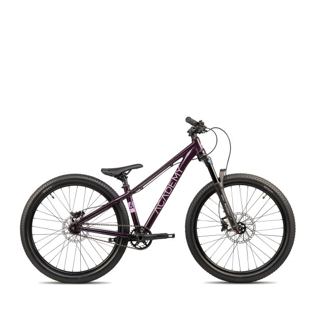 24" Cykel ACADEMY PUMP 5 Blomme
