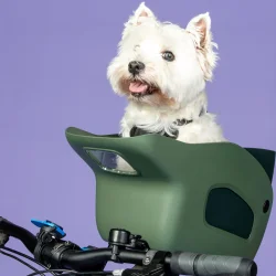 Kvisp hundekurv til cykel, med sele S - skovgrn