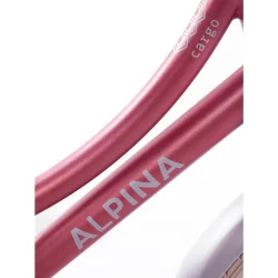 Alpina Cargo 18" pigecykel med fodbremse, frontlad - berry r�d