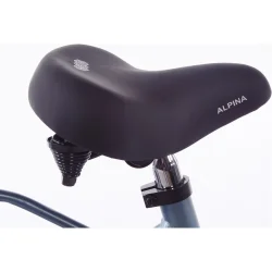 Alpina Cargo 18" pigecykel med fodbremse, frontlad - st�lbl�