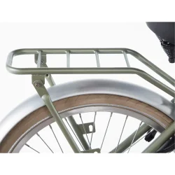 Alpina Cargo 22" pigecykel med fodbremse, frontlad - fl�jsgr�n