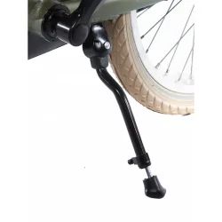 Alpina Cargo 20" pigecykel med fodbremse, frontlad - fl�jlsgr�n