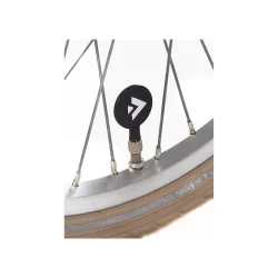 Alpina Cargo 20" pigecykel med fodbremse, frontlad - gammelrosa