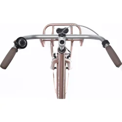 Alpina Clubb 22" pigecykel med fodbremse og frontlad - Rose Gold