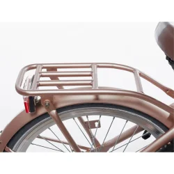 Alpina Clubb 20" pigecykel med fodbremse og frontlad - Rose Gold