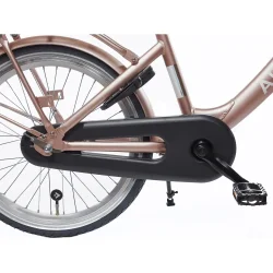 Alpina Clubb 20" pigecykel med fodbremse og frontlad - Rose Gold