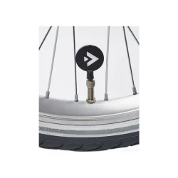 Alpina Clubb 20" pigecykel med fodbremse og frontlad - satinbl�