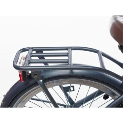 Alpina Clubb 22" pigecykel med fodbremse og frontlad - satinbl�