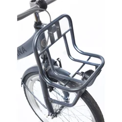 Alpina Clubb 20" pigecykel med fodbremse og frontlad - satinbl�