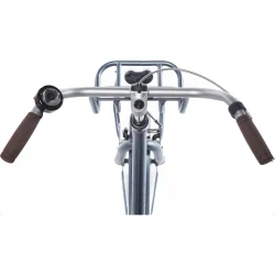 Alpina Clubb 20" pigecykel med fodbremse og frontlad - satinbl�