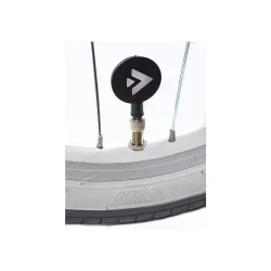 Alpina Ocean 20" pigecykel med fodbremse - skumrings bl�